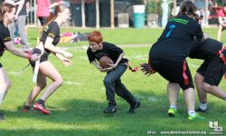 HB_03549